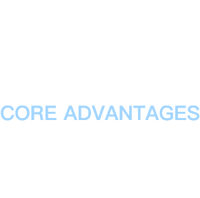 2、核心优势